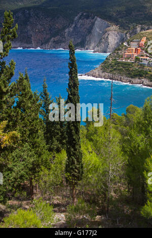 Giovani, slim Mediterraneo cipresso (Cupressus sempervirens) in una foresta sul pendio di una montagna. In background Assos, una sm Foto Stock