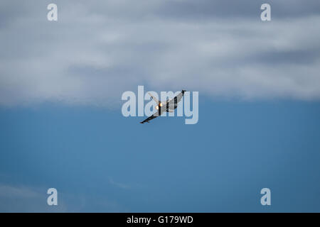 Aerei, jet ed elicotteri volare durante air show Foto Stock