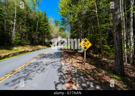 Strada nel Parco Nazionale di Acadia nel Maine Foto Stock