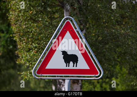 Segnale di avvertimento / segno di traffico per pecore strada di attraversamento Foto Stock