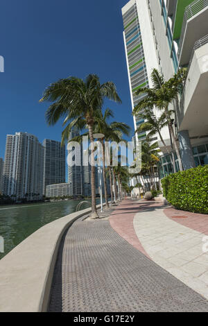 Palme sulla Riverwalk Brickell Avenue lo skyline del centro cittadino di Miami Florida USA Foto Stock
