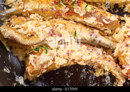 Il pesce fritto in padella in salsa di panna Foto Stock