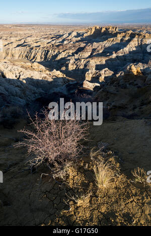 Erosi badlands, Angelo Nat di picco. Area ricreativa, Nuovo Messico. Foto Stock