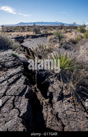 Carrizozo Malpais campo lavico, Valle di incendi Area ricreativa, Nuovo Messico. Foto Stock