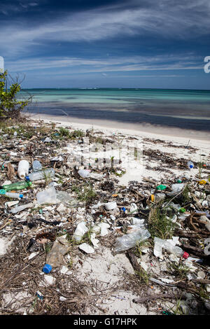 Immondizia di plastica lava fino a una spiaggia caraibica. Materie plastiche entrare nella catena alimentare e sono dannosi sia per la fauna selvatica e gli esseri umani. Foto Stock