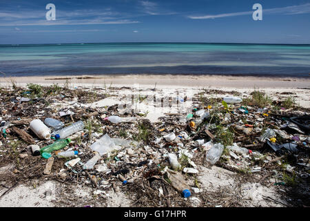 Immondizia di plastica lava fino a una spiaggia caraibica. Materie plastiche entrare nella catena alimentare e sono dannosi sia per la fauna selvatica e gli esseri umani. Foto Stock