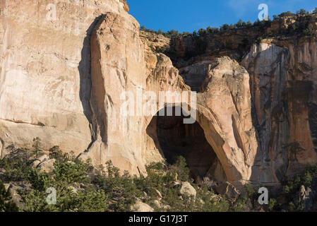 La ventana arco naturale di El Malpais monumento nazionale, Nuovo Messico. Foto Stock