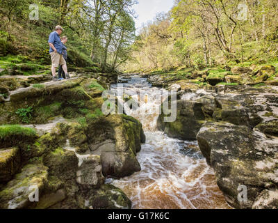 L 'hotel Astrid in Bolton Abbey Estate, dove il fiume si restringe Wharfe attraverso una gola. Foto Stock