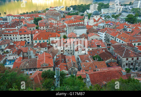 Vista dall'alto degli edifici di Cattaro città vecchia, Montenegro, Balcani Foto Stock