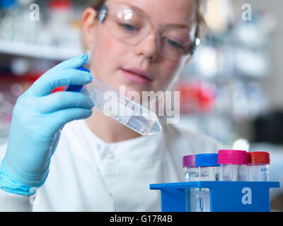 Scienziato preparazione di buffer per la purificazione di anticorpi in laboratorio, Jenner Institute dell'Università di Oxford Foto Stock