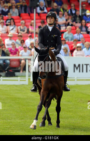 Paolo Tapner (Australia) Vanir Kamira eseguendo la loro prova di dressage presso la Mitsubishi Badminton Horse Trials 2016 Foto Stock