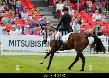 Paolo Tapner (Australia) Vanir Kamira eseguendo la loro prova di dressage presso la Mitsubishi Badminton Horse Trials 2016 Foto Stock