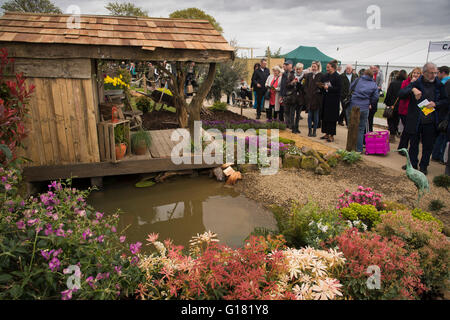 I visitatori della molla di Harrogate Flower Show 2016 (North Yorkshire, Inghilterra) ammirare uno spettacolo naturale giardino, 'Wildlife Paradiso'. Foto Stock