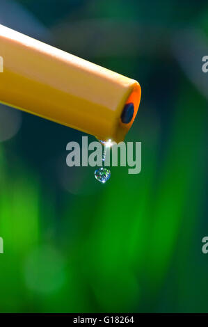 TUBO FLESSIBILE A GOCCIA D'ACQUA BAN WATER GARDEN GOCCIA d'acqua pura e limpida che cade dal tubo flessibile del giardino in un giardino estivo illuminato dal sole Foto Stock