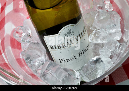 Il Pinot Bianco Vino bianco bottiglia raffreddamento in wine cooler grotta de Ribeauville Alsace Francia Foto Stock