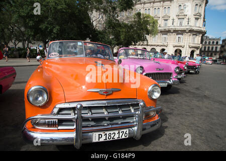 Una fila di dipinto luminosamente vecchio anni cinquanta vetture americane sul display nel centro di Havana per turisti di noleggiare Habana Cuba Foto Stock