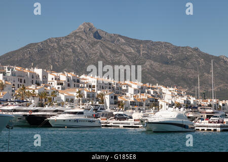 Barche ormeggiate in Puerto Banus Harbour, Marbella, Costa del Sol, Andalusia, Spagna Foto Stock