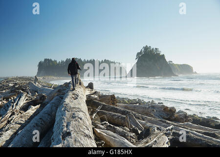 Vista posteriore del uomo a camminare su albero caduto che trasportano il treppiede, Rialto Beach, nello Stato di Washington, USA Foto Stock