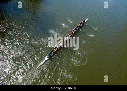 Equipaggio sul fiume Severn a Shrewsbury durante la regata annuale Foto Stock