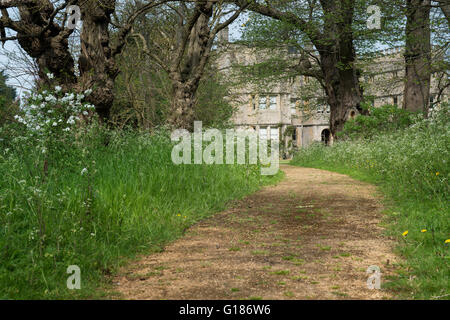 Percorso del bosco a Rousham Casa e giardino. Oxfordshire, Inghilterra Foto Stock