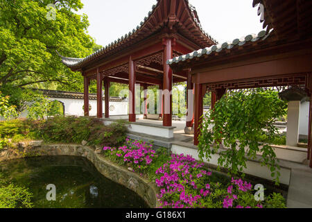 Giardino Cinese con laghetto, fiori e il pavilion al Purple Mountain Park in Nanjing, Cina e Asia Foto Stock