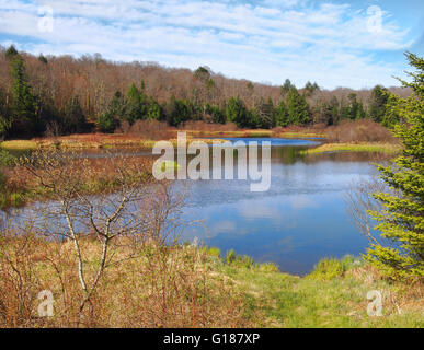 Il fiume di alci, Thendara, New York, nell'Adirondack State Park Foto Stock