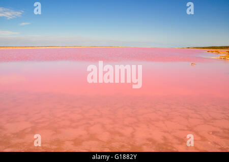 Rosa i laghi di sale nel porto di Gregorio, Australia occidentale Foto Stock