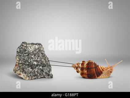 Snail tirando big stone, il concetto di persistenza Foto Stock