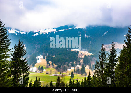 Boscoso pendio di montagna in basso le nuvole Foto Stock