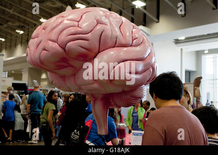 Cervello umano modello presso National Science Fair - Washington DC, Stati Uniti d'America Foto Stock