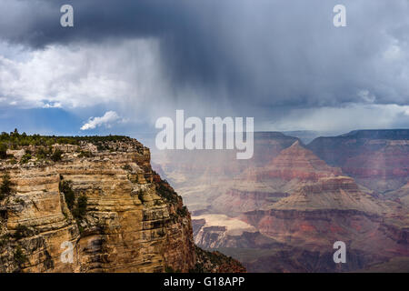 Nuvole di pioggia e tempesta che si muovono sul bordo sud del Grand Canyon nel Parco Nazionale del Grand Canyon, Arizona, USA Foto Stock