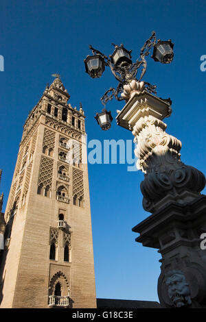 La Giralda. Sevilla. Andalucía. Spagna Foto Stock