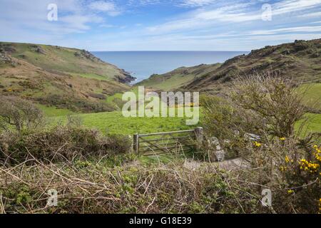 La vista su una fattoria verso SOAR MILL COVE, Devon, Inghilterra. Foto Stock