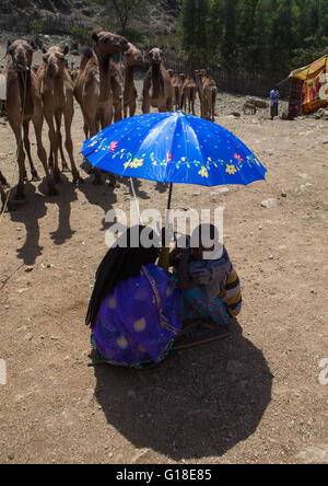 Persone che protegge dal sole sotto un ombrello nel mercato di cammelli, Oromo, Sambate, Etiopia Foto Stock