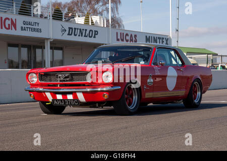 Prima generazione di Ford Mustang coupe race car a Goodwood Foto Stock