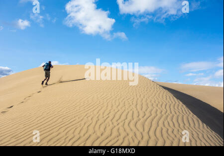 Percorso di formazione di runner per il deserto ultra maratona sulle dune marittime a Masplamoms su Gran Canaria Isole Canarie Spagna Foto Stock