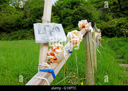 Brighton, Regno Unito. 11 Maggio, 2016. Il memorial albero a parco selvatico in Brighton dove i corpi degli assassinati studentesse Nicola Fellow e Karen Hadaway sono state scoperte quasi trenta anni fa . Un uomo è stato arrestato ieri in connessione con quello che divenne noto come il Babes in legno omicidi © Simon Dack/Alamy Live News Credito: Simon Dack/Alamy Live News Foto Stock