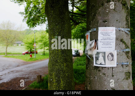 Brighton, Regno Unito. 11 maggio 2016. Wild Park a Brighton, dove sono stati scoperti i corpi delle studentesse assassinate Nicola Fellows e Karen Hadaway quasi 30 anni fa . Ieri è stato arrestato un uomo in relazione a quello che è diventato noto come il Babes in the Wood Murders Foto Stock