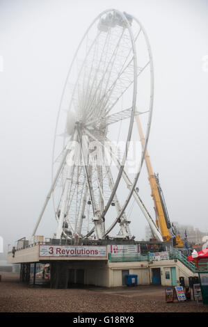 Brighton, Regno Unito. 11 maggio 2016. La ruota di Brighton, a 45m di diametro ruota panoramica Ferris attrazione sul lungomare di Brighton, ha chiuso in modo permanente ed è in fase di smantellamento dopo quasi 5 anni di servizio. La ruota di operatore, Attrazioni Paramount ha cercato di estendere il loro temporaneo il permesso di pianificazione per altri cinque anni, ma è stato rifiutato da Brighton & Hove consiglio. Si tratta di chiusura Domenica 8 Maggio è di rendere il titolo per il nuovo i360 torre che aprirà quest'estate. Credito: Francesca Moore/Alamy Live News Foto Stock