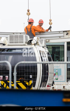 Brighton, Regno Unito. 11 maggio 2016. La ruota di Brighton, a 45m di diametro ruota panoramica Ferris attrazione sul lungomare di Brighton, ha chiuso in modo permanente ed è in fase di smantellamento dopo quasi 5 anni di servizio. La ruota di operatore, Attrazioni Paramount ha cercato di estendere il loro temporaneo il permesso di pianificazione per altri cinque anni, ma è stato rifiutato da Brighton & Hove consiglio. Si tratta di chiusura Domenica 8 Maggio è di rendere il titolo per il nuovo i360 torre che aprirà quest'estate. Credito: Francesca Moore/Alamy Live News Foto Stock