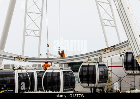 Brighton, Regno Unito. 11 maggio 2016. La ruota di Brighton, a 45m di diametro ruota panoramica Ferris attrazione sul lungomare di Brighton, ha chiuso in modo permanente ed è in fase di smantellamento dopo quasi 5 anni di servizio. La ruota di operatore, Attrazioni Paramount ha cercato di estendere il loro temporaneo il permesso di pianificazione per altri cinque anni, ma è stato rifiutato da Brighton & Hove consiglio. Si tratta di chiusura Domenica 8 Maggio è di rendere il titolo per il nuovo i360 torre che aprirà quest'estate. Credito: Francesca Moore/Alamy Live News Foto Stock