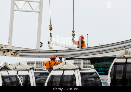 Brighton, Regno Unito. 11 maggio 2016. La ruota di Brighton, a 45m di diametro ruota panoramica Ferris attrazione sul lungomare di Brighton, ha chiuso in modo permanente ed è in fase di smantellamento dopo quasi 5 anni di servizio. La ruota di operatore, Attrazioni Paramount ha cercato di estendere il loro temporaneo il permesso di pianificazione per altri cinque anni, ma è stato rifiutato da Brighton & Hove consiglio. Si tratta di chiusura Domenica 8 Maggio è di rendere il titolo per il nuovo i360 torre che aprirà quest'estate. Credito: Francesca Moore/Alamy Live News Foto Stock