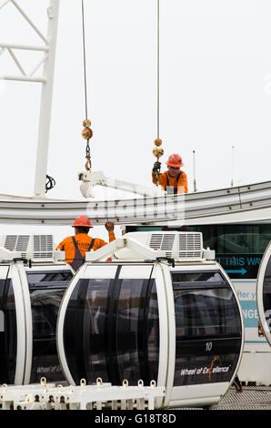 Brighton, Regno Unito. 11 maggio 2016. La ruota di Brighton, a 45m di diametro ruota panoramica Ferris attrazione sul lungomare di Brighton, ha chiuso in modo permanente ed è in fase di smantellamento dopo quasi 5 anni di servizio. La ruota di operatore, Attrazioni Paramount ha cercato di estendere il loro temporaneo il permesso di pianificazione per altri cinque anni, ma è stato rifiutato da Brighton & Hove consiglio. Si tratta di chiusura Domenica 8 Maggio è di rendere il titolo per il nuovo i360 torre che aprirà quest'estate. Credito: Francesca Moore/Alamy Live News Foto Stock