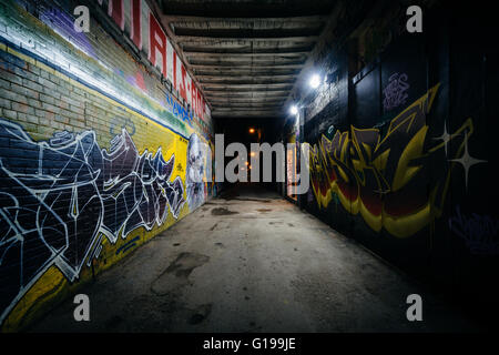 Graffiti Vicolo di notte, nel quartiere alla moda di Toronto, Ontario. Foto Stock