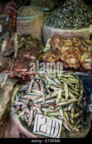 Contenitori di conserve di pesce essiccato viene visualizzata su un mercato in stallo Borneo Foto Stock