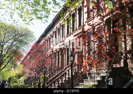 Terrazza di case di arenaria con molla di colore, Park Slope, Brooklyn, New York, Stati Uniti d'America Foto Stock