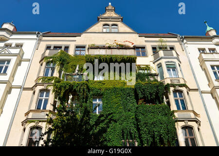 Fassadenbegruenung, Immanuelkirchstrasse, Prenzlauer Berg di Berlino, Deutschland / Fassadenbegrünung Foto Stock