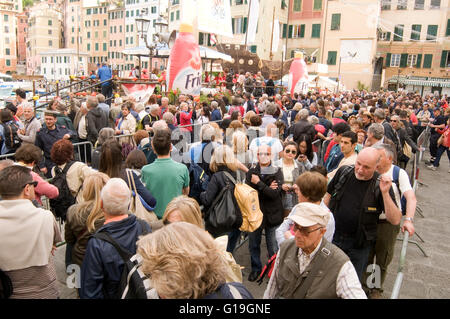 Folle a Camogli sagra del pesce Italy Italian Rivera dove il pesce fresco è cucinato in tutto il mondo più grande padella Foto Stock