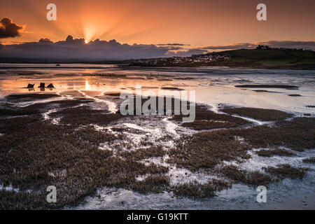 Northam Burrows Alba Foto Stock