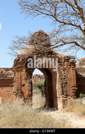 I resti dei templi in arida pianura di Bagan (Myanmar). Restes de templi dans la plaine aride de Bagan (Birmanie). Foto Stock